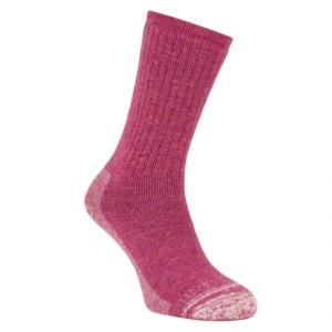Silverpoint Alpaca Wool Hiker Socks - Raspberry