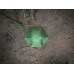  Vango Exedra 200 2025 - Forest